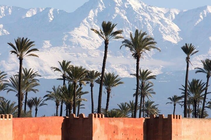Half-Day Desert Quad and Dromedary Tour from Marrakech photo 2