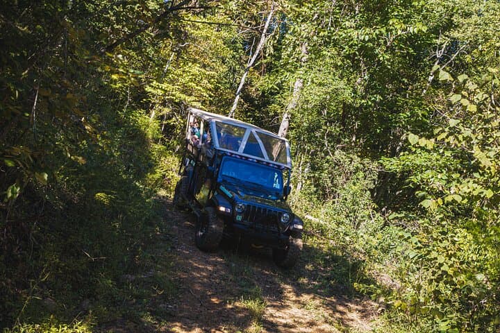 Smoky Mountains Newfound Gap Jeep Tour — Pigeon Forge to 5,000-Foot Views
