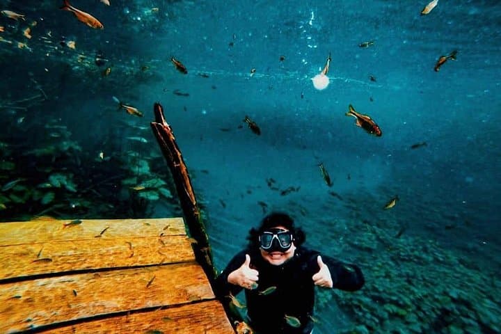 Crater Azul Full-Day Boat Tour from Flores — Swim, Snorkel & See Crystal Waters