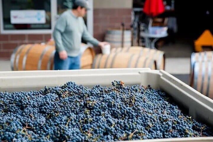 Artisan Hill Wine Pass: Woodinville Tasting Flights in the Warehouse District