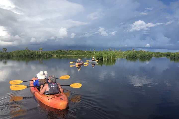 Manatees and Mangrove Tunnels Kayak Tour — 10,000 Islands Wildlife Refuge photo 2