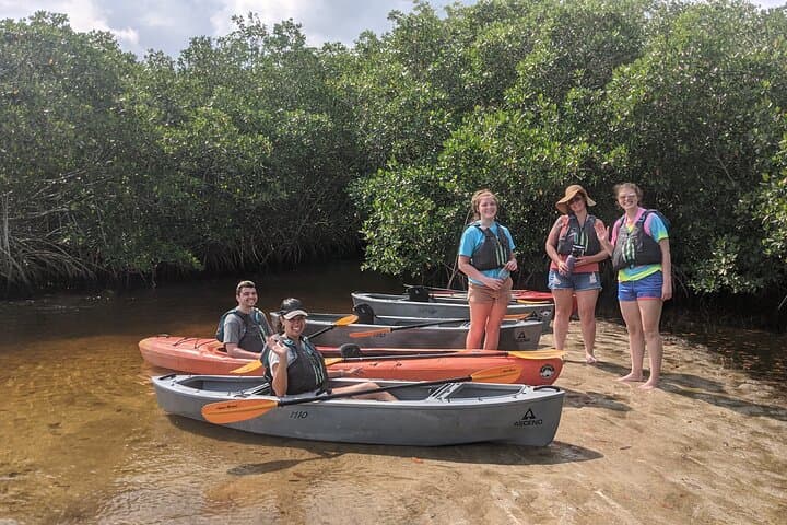 Manatees and Mangrove Tunnels Kayak Tour — 10,000 Islands Wildlife Refuge photo 4