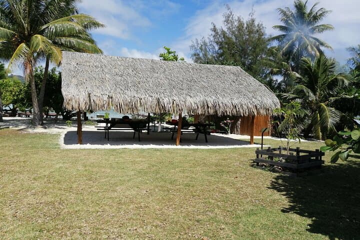 Bora Bora Cultural Lagoon Tour: Sharks, Rays & Polynesian Canoe Experience photo 6