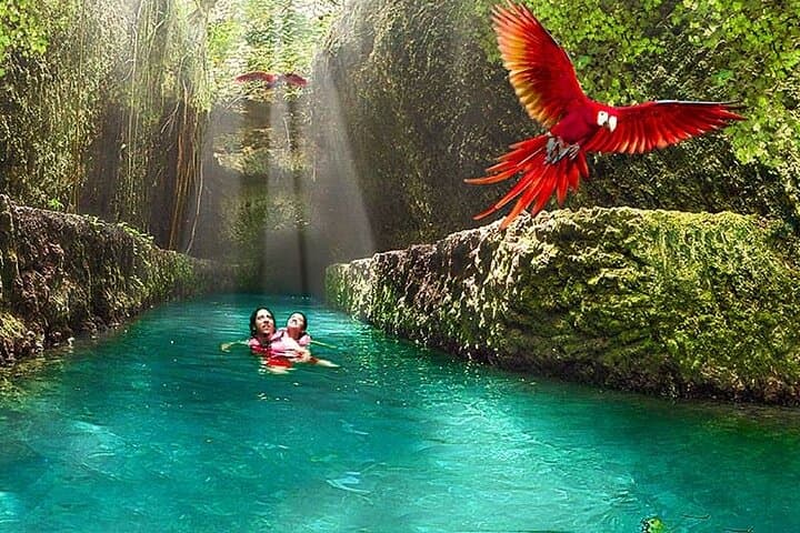 Xcaret Plus: Full-Day Eco-Archaeological Park Experience with Transportation