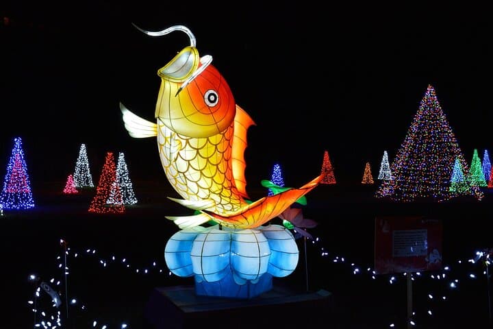 Niagara Falls Night Illumination Tour — Holiday Edition Evening Walking Guide photo 3
