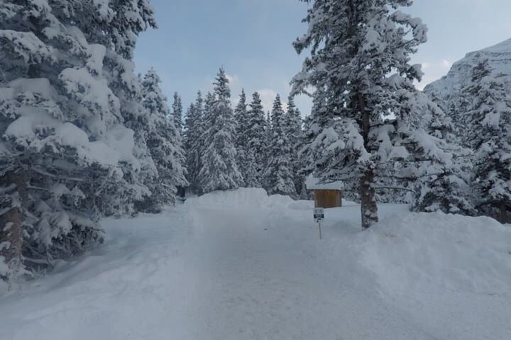 Vancouver to Banff: A 4-Day Rocky Mountain Snow Adventure with Lake Louise Exploration photo 6
