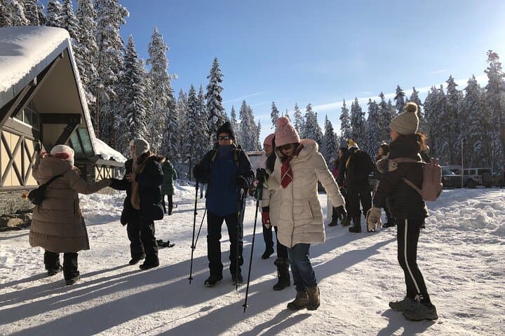Vancouver to Banff: A 4-Day Rocky Mountain Snow Adventure with Lake Louise Exploration photo 3
