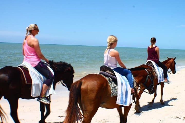 Ocho Rios Horseback Ride: Beach Gallop, Fern Gully & Jerk Lunch photo 2
