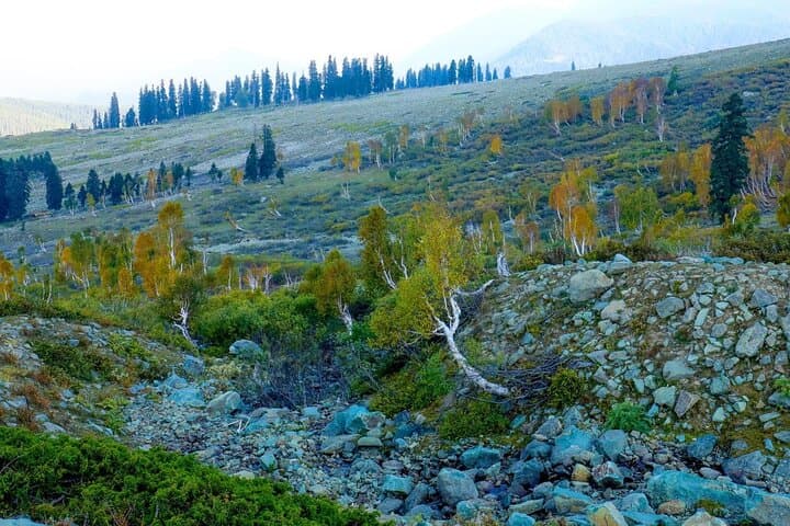Gulmarg Day Trip: Gondola, Affarwat Views & Dung Waterfall from Srinagar photo 5