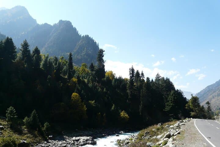 Sonamarg Day Trip from Srinagar: Thajiwas Glacier, Meadows & Mountain Views photo 3