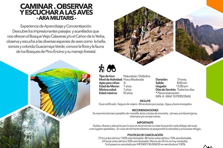 La Pirámide Park Birdwatching Walk in the Sierra Madre Occidental