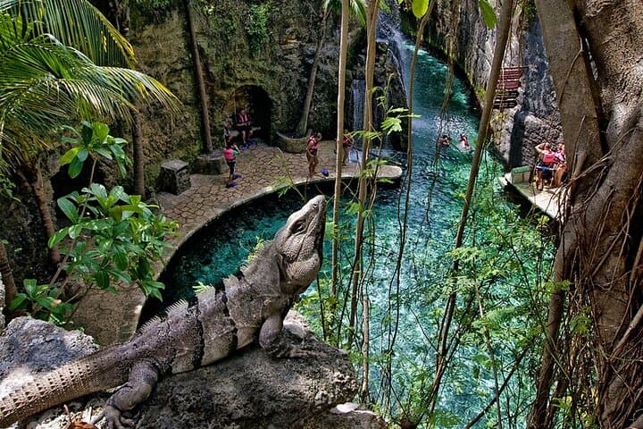 Xcaret Plus: Full-Day Eco-Archaeological Park Experience with Transportation photo 6