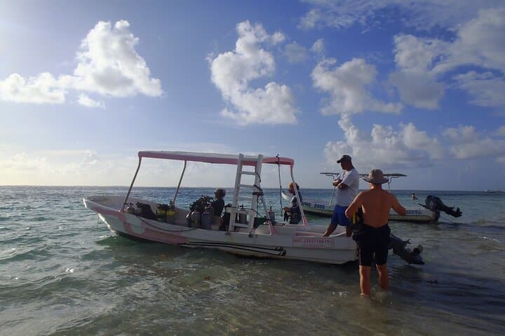 Puerto Morelos Two‑Tank Reef Dive — Explore the National Marine Park photo 3