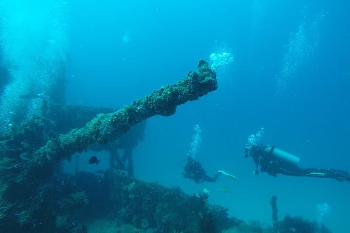 Puerto Morelos Two‑Tank Reef Dive — Explore the National Marine Park photo 4