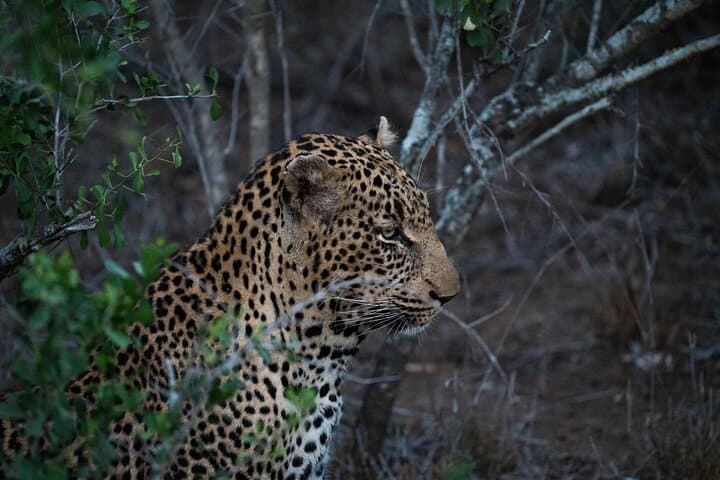 6-Day Best of Tanzania Private Safari: Serengeti, Ngorongoro & Tarangire photo 3