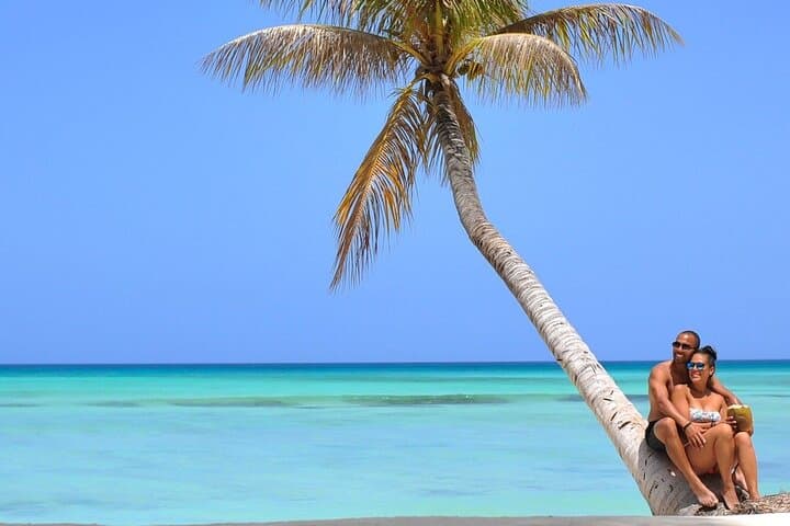 Saona Island Catamaran & Speedboat Tour — Buffet, Natural Pool and Starfish