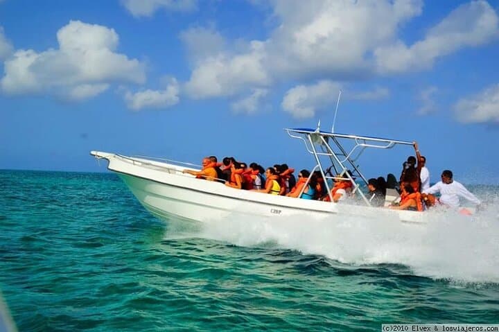 Private Speedboat to Isla Saona from Bavaro — Natural Pool, Starfish & Beach Lunch