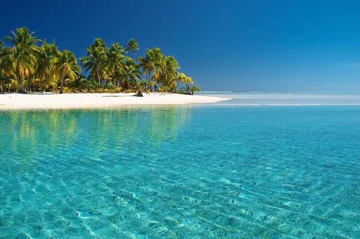 Private Speedboat to Isla Saona from Bavaro — Natural Pool, Starfish & Beach Lunch photo 4
