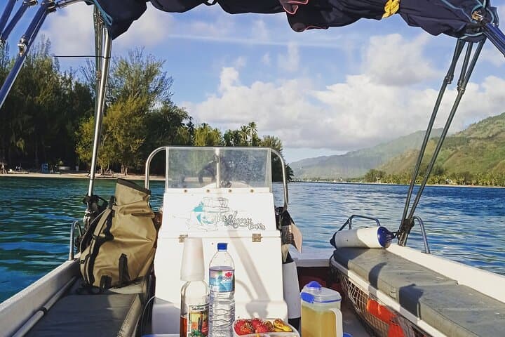 Mo'orea Half-Day Private Lagoon Tour: Snorkel with Turtles, Rays & Sharks photo 4
