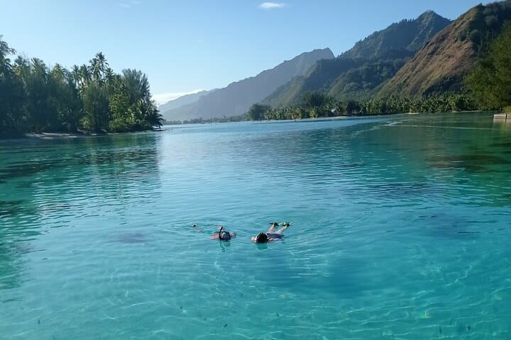 Mo'orea Half-Day Private Lagoon Tour: Snorkel with Turtles, Rays & Sharks photo 5