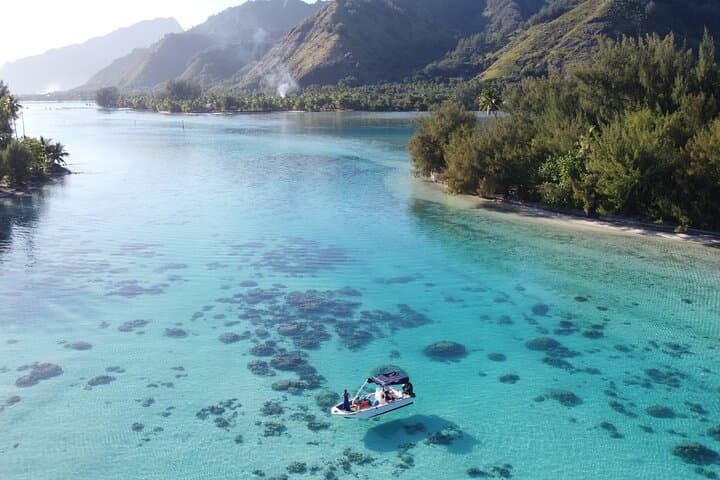 Mo'orea Half-Day Private Lagoon Tour: Snorkel with Turtles, Rays & Sharks photo 6