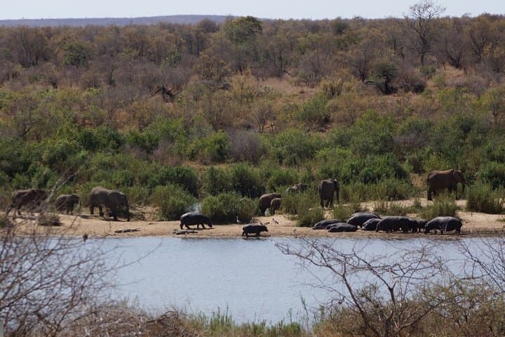 Day-Trip Kruger Safari from Maputo: Big Five in a Budget-Friendly Adventure photo 4