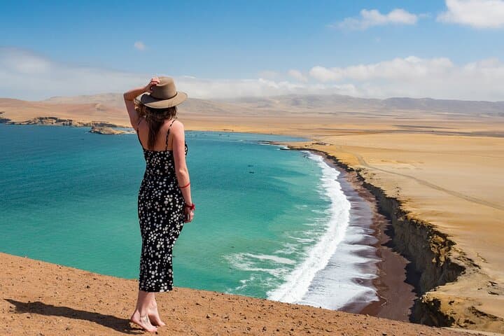 Paracas & Ballestas Islands Day Tour: Ballestas Islands, Paracas Reserve and the Candelabro photo 3