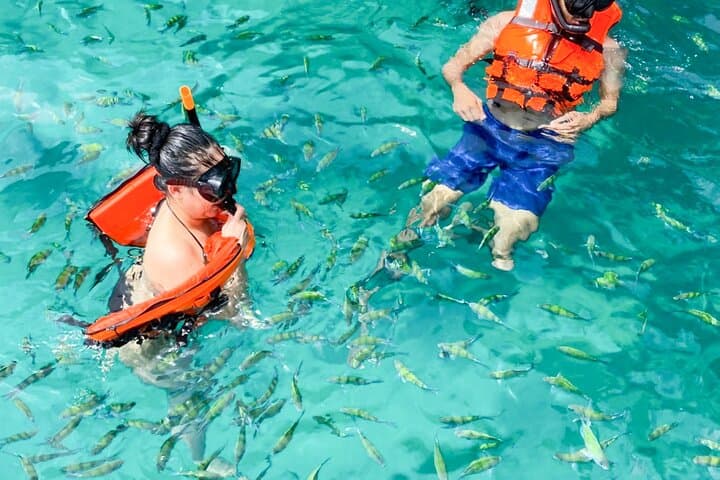 Phi Phi & Khai Islands Speedboat Snorkel Day Trip from Phuket photo 5