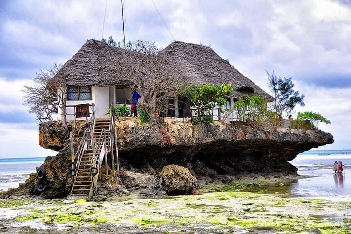 Zanzibar Full-Day: Dolphins, Kuza Cave, Paje Beach & Jozani Forest Adventure photo 2