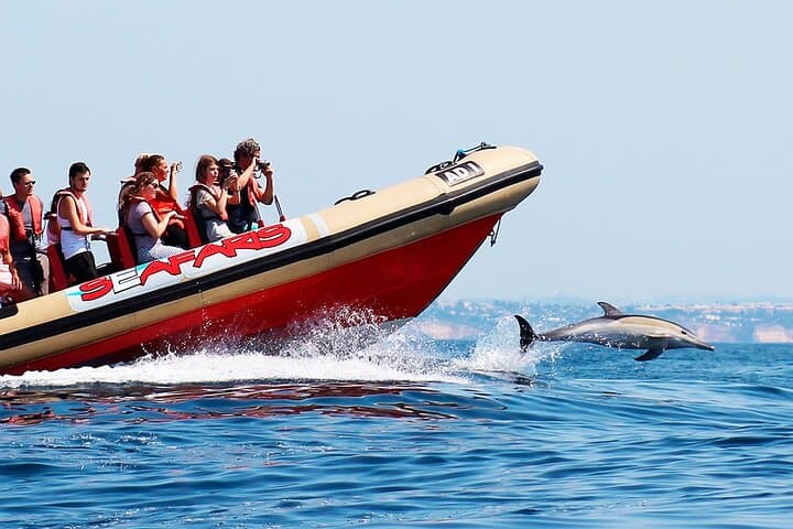 Dolphin Watching from Marina de Lagos: 90-Minute Atlantic Safaris photo 2