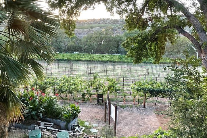 Sedona All-Inclusive Wine Tour: Lunch & Tastings in the Verde Valley photo 4