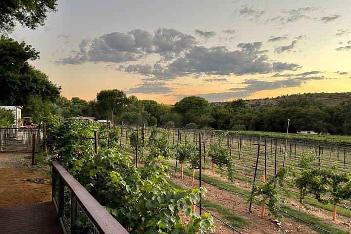 Sedona All-Inclusive Wine Tour: Lunch & Tastings in the Verde Valley photo 1