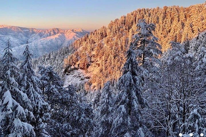 Kaflani Day Hike: Easy Hilltop Walk with Himalayan Views Near Mussoorie photo 3