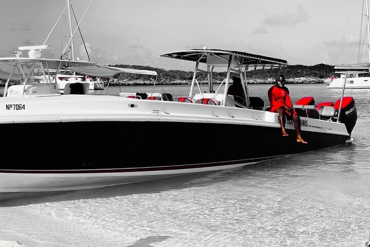 Eleuthera Swimming Pigs & Reef Snorkel: Full-Day Powerboat from Nassau photo 3
