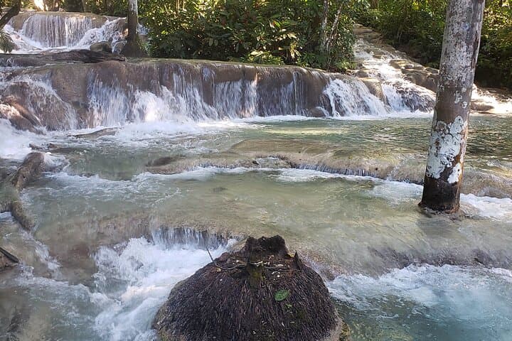 Dunn's River Falls Climb & Beach Experience from Montego Bay photo 4