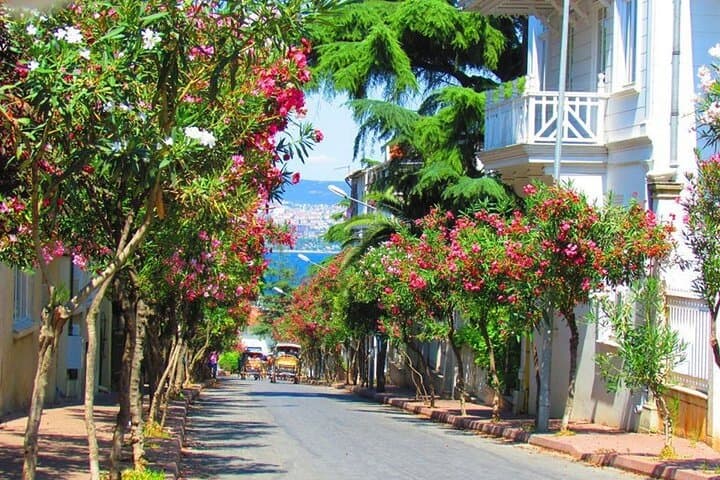 Princes' Islands Day Tour from Istanbul: Büyükada & Heybeliada with Lunch photo 2