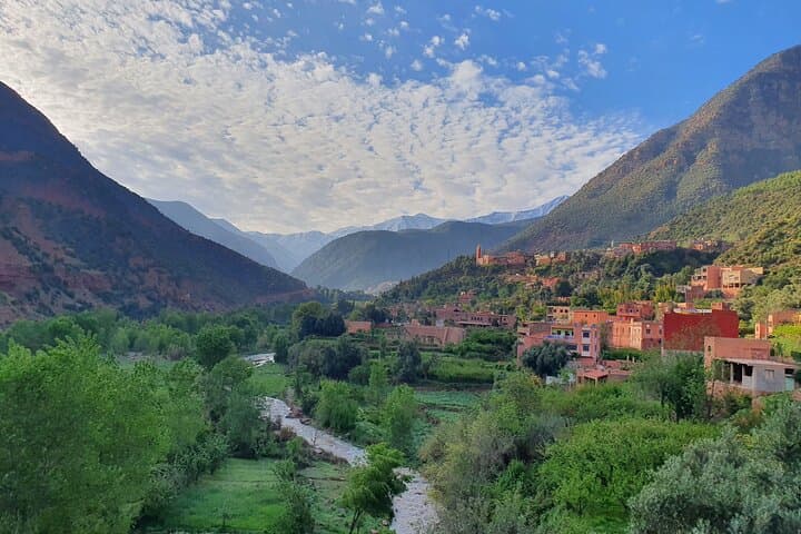 Atlas Mountains Half-Day Tour: Waterfalls, Berber Culture & Argan Co-op from Marrakech