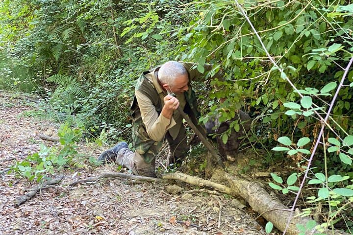 Truffle Hunting in Tuscany: Forage, Lunch & San Gimignano Day Trip from Florence photo 3
