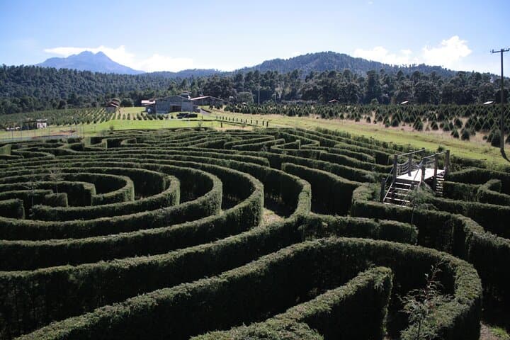 Alpinia Nature & Adventure Park: Maze, Trails and Iztaccíhuatl Views photo 4