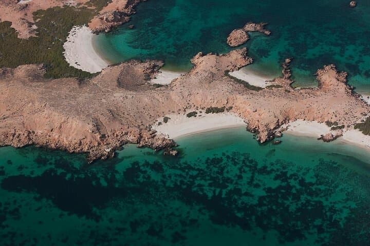 Daymaniyat Islands Dolphin & Whale Watching Cruise from Marina Bandar Al Rowdha