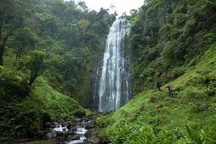 Materuni Waterfall & Chagga Coffee Day Walk — From Moshi to Kilimanjaro's Forest photo 6