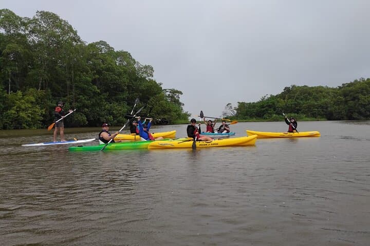 Gandoca Mangrove Kayak Tour — Paddle Costa Rica’s Caribbean Estuary