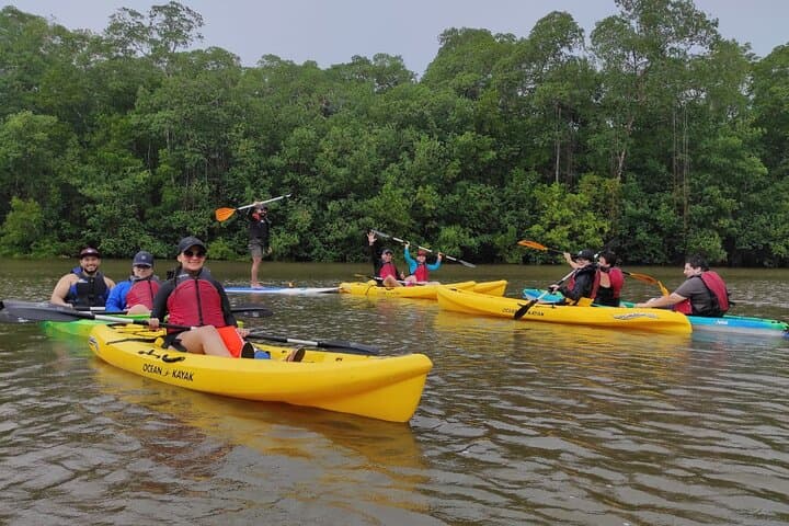 Gandoca Mangrove Kayak Tour — Paddle Costa Rica’s Caribbean Estuary photo 3