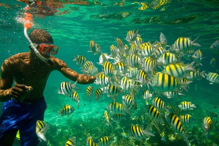 Negril Seven Mile Beach & Rick's Cafe Private Tour — Snorkel, Swim and Sunset photo 5
