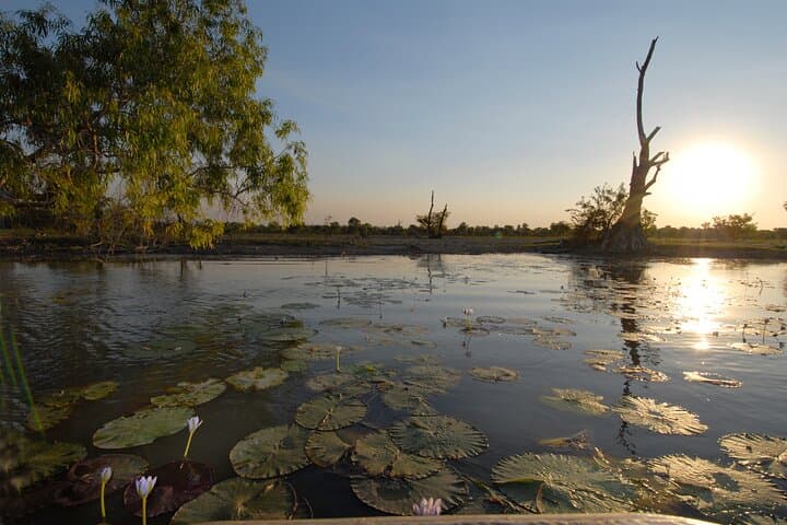 Kakadu to Arnhem Land: 5-Day Top End Adventure from Darwin photo 2
