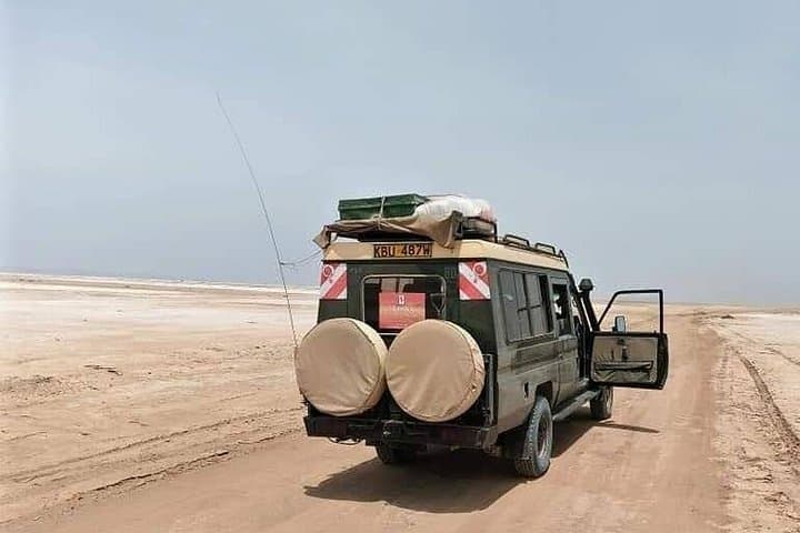 Amboseli National Park Private Day Safari — Kilimanjaro Views and Wild Elephants photo 2