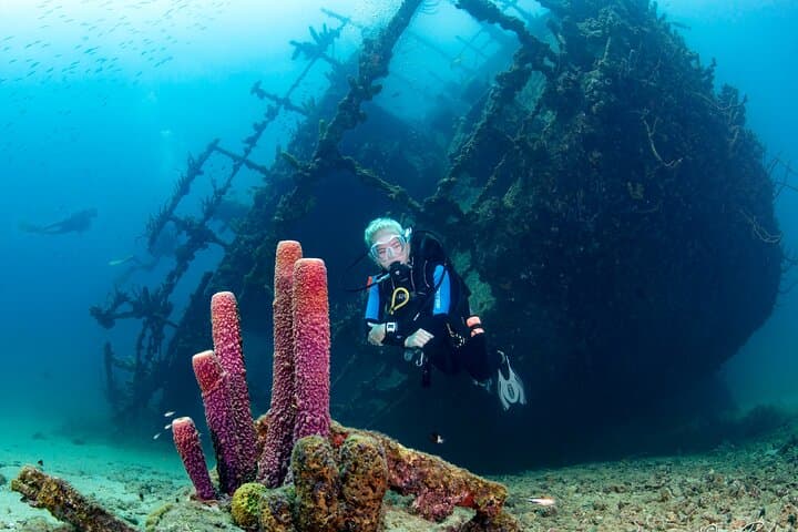 Aruba One-or-Two Tank Scuba Dive: Palm Beach Wrecks & Reefs