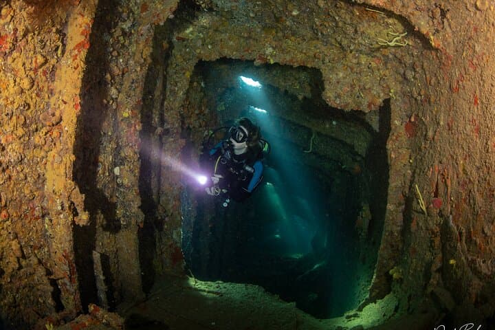 Aruba One-or-Two Tank Scuba Dive: Palm Beach Wrecks & Reefs photo 3