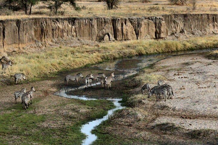 6-Day Best of Tanzania Private Safari: Serengeti, Ngorongoro & Tarangire photo 4