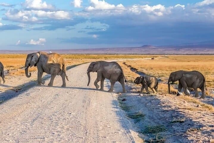 Three-Day Ngorongoro, Tarangire & Manyara Safari from Arusha photo 4